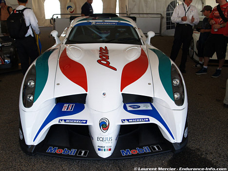 (Foto: Laurent Mercier, www.endurance-info.com)